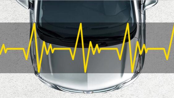 Diagnosi veicolo e informazioni Diagnosi veicolo e informazioni